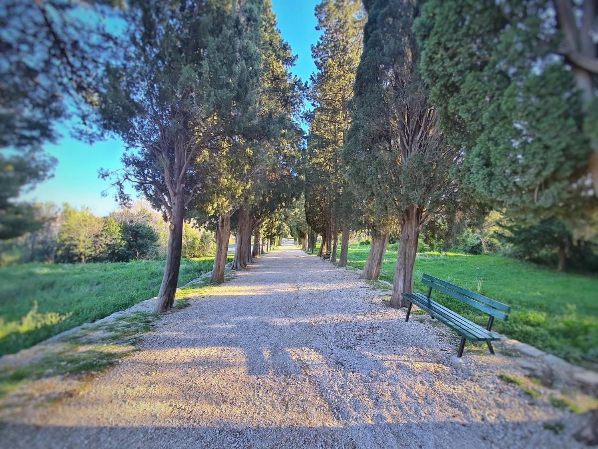 Luxury Apartment Salona エクステリア 写真